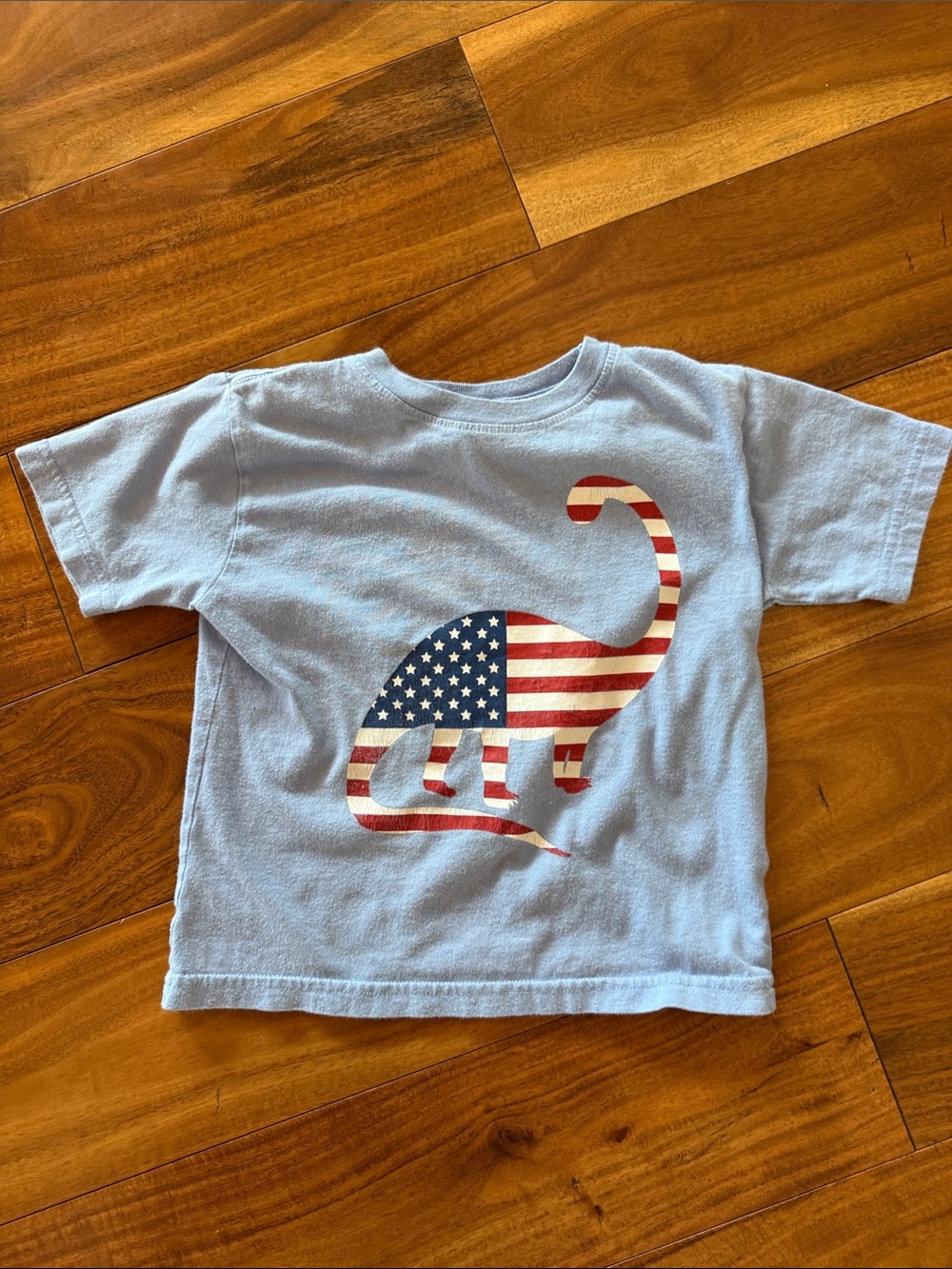 Kids American Flag Dino Graphic Tee - Light Blue
